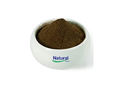 สารสกัดจาก ashwagandha ยอดนิยมคืออะไร? สารสกัดจาก ashwagandha มีประโยชน์อย่างไร?