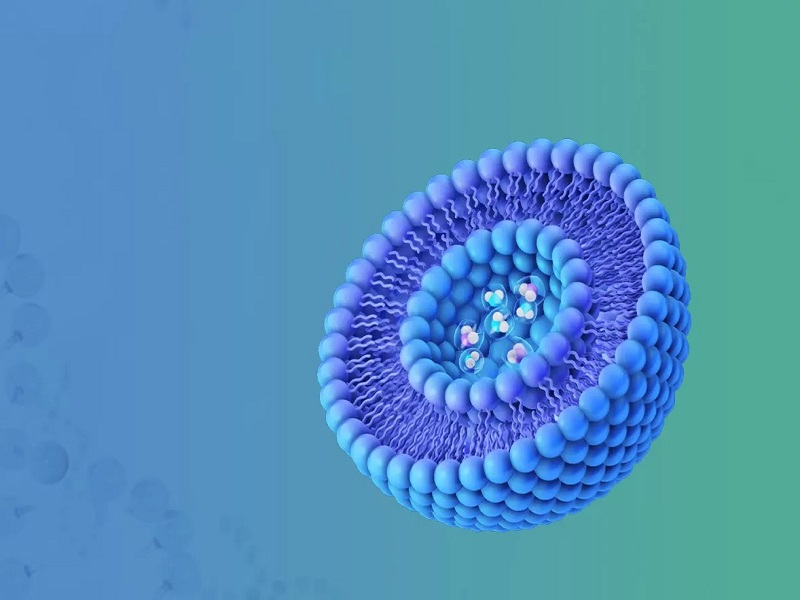 ผู้ผลิต liposomal 10อันดับแรกในอินเดีย