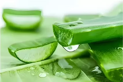 การแนะนำ aloin