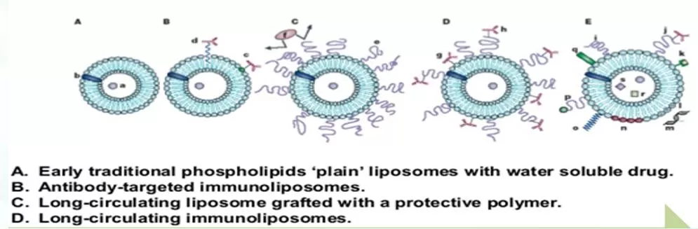 Evolution of Liposomes Evolution of Liposomes