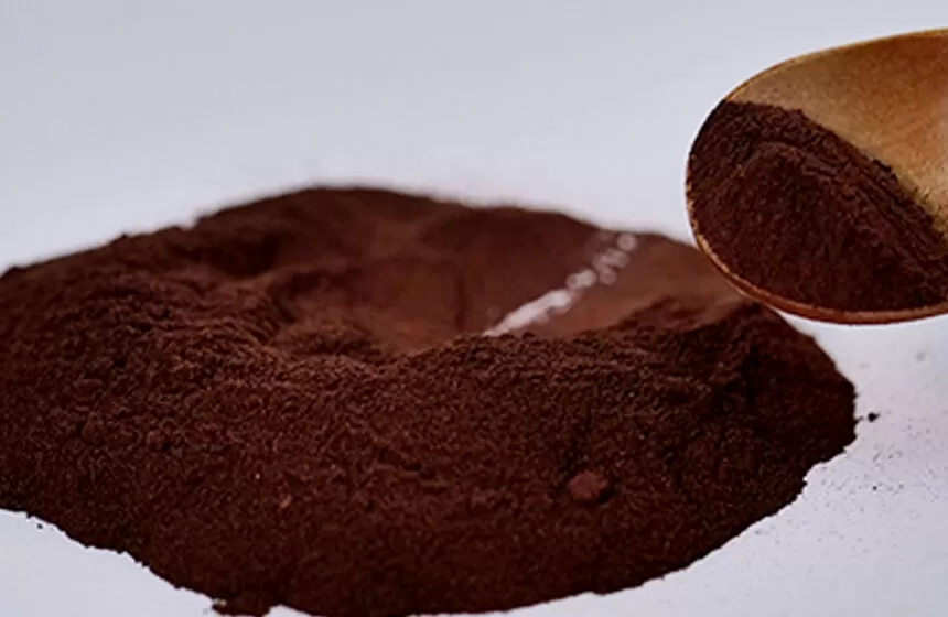 ทำไมต้องเลือกฟิลด์ธรรมชาติเป็นโรงงานผงสกัด Pygeum africanum ของคุณ?