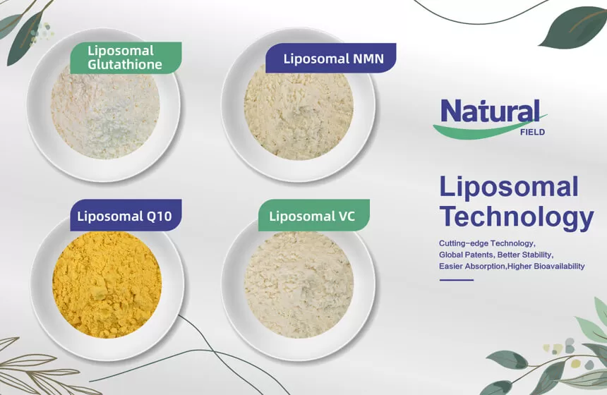 ทำไมต้องเลือกสนามธรรมชาติเป็นผู้ผลิตผง liposomal nmn ของคุณ?