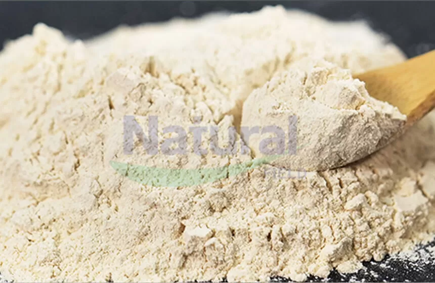 ทำไมต้องเลือกฟิลด์ธรรมชาติเป็นผู้จัดจำหน่ายผง creatina liposomal ของคุณ?