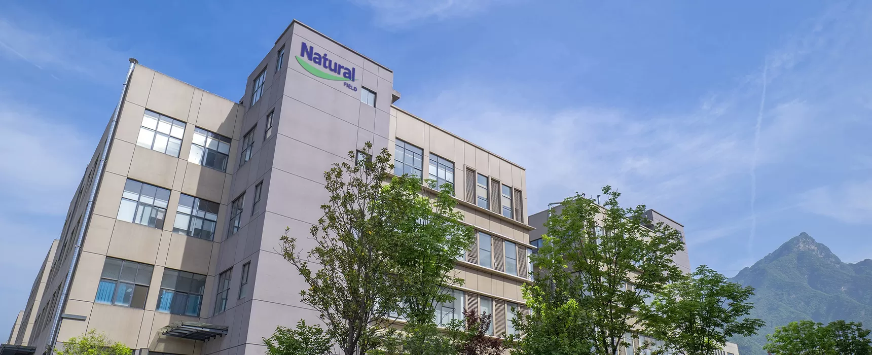 โปรไฟล์บริษัท