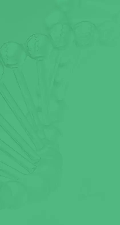 วัฒนธรรมบริษัท