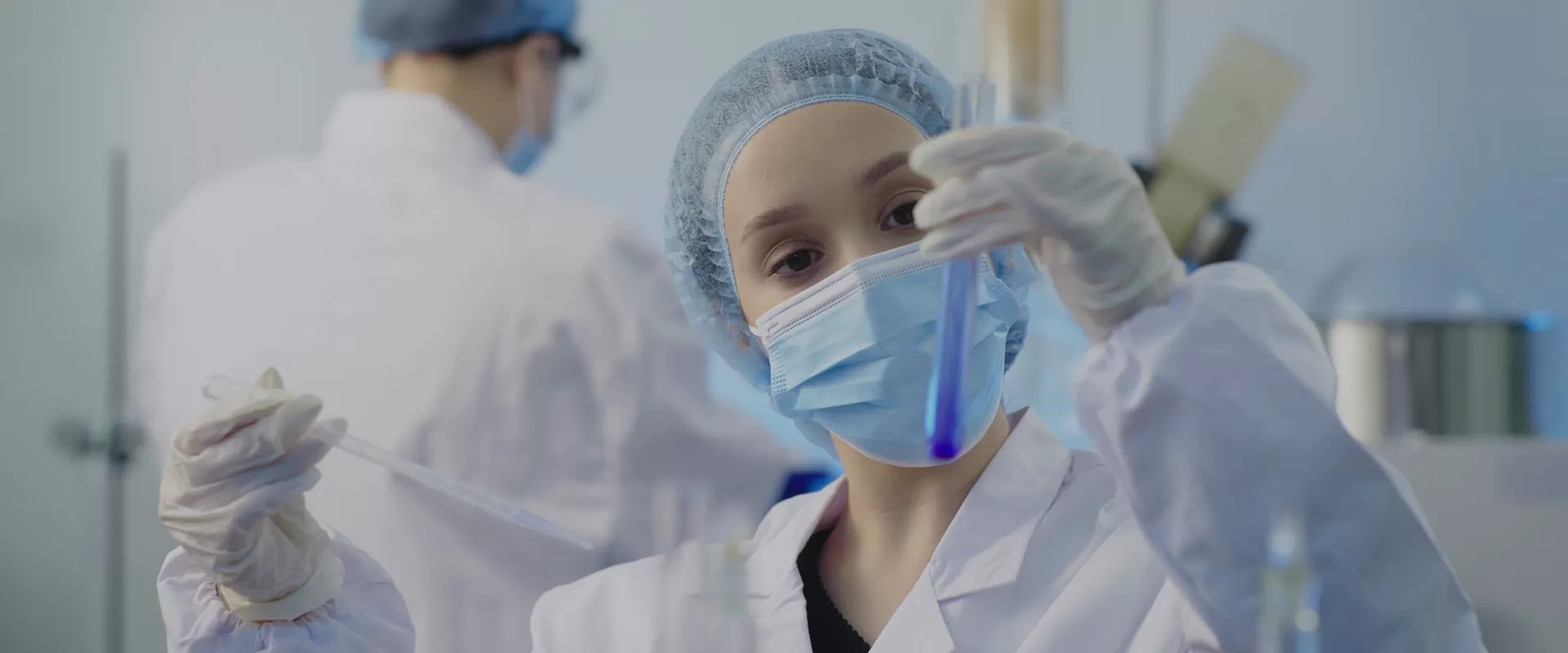 แพลตฟอร์มการวิจัยและพัฒนา