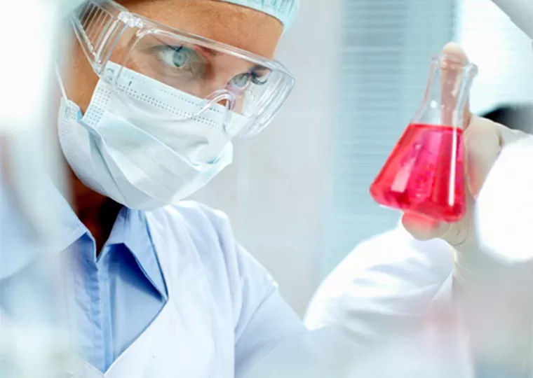 ทีมวิจัยและพัฒนา