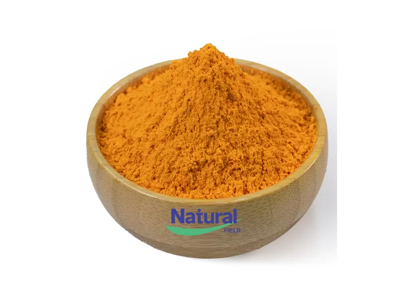 curcumin extract powder bulk