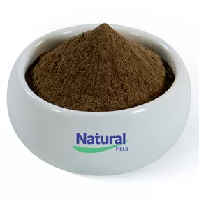 ผงสารสกัด Bacopa monniera