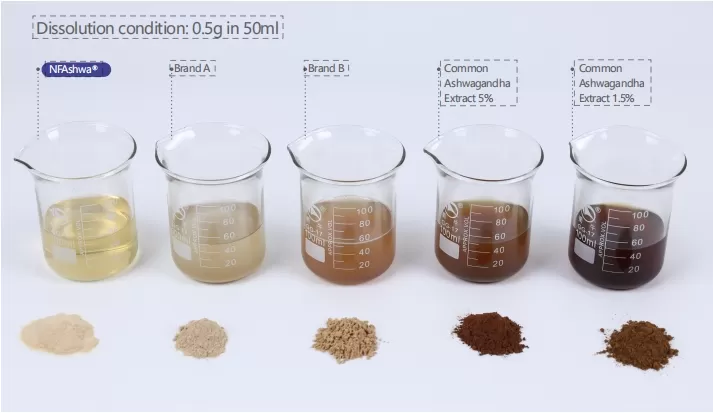 ตอบสนองต่อการโทรแห่งชาติ: มุ่งเน้นไปที่สุขภาพของมนุษย์!