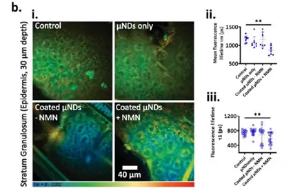Nmn: อัตราการดูดซึมผิวถึง86.3% ใน24ชั่วโมง