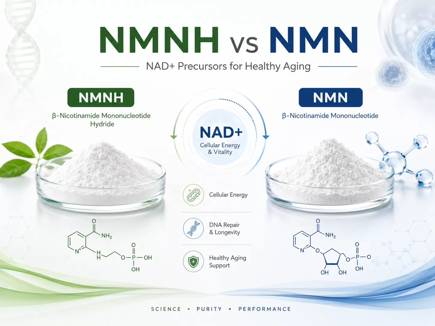 NMNH เทียบกับ NMN