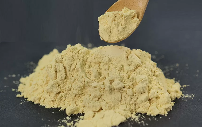 ความลับที่จะอยู่อย่างมีสุขภาพดีและมีพลัง: เพิ่มภูมิคุ้มกันของคุณ