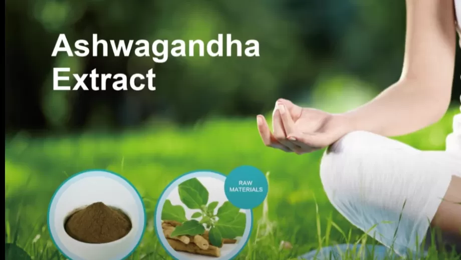 สารสกัดจากแอชวากันเดี้ยน