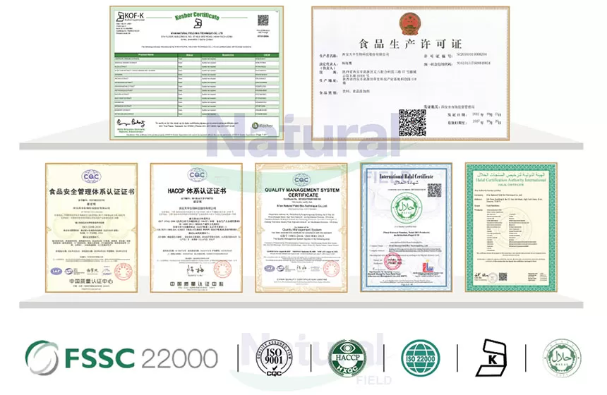 ทำไมต้องเลือกฟิลด์ธรรมชาติเป็นผู้จัดจำหน่ายผงโมโนไฮเดรต Creatine ของคุณ?