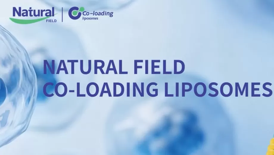 พลังสองเท่า: เทคโนโลยีไลโปโซมแบบ Co-Loading