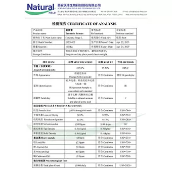 95% สกัดขมิ้น