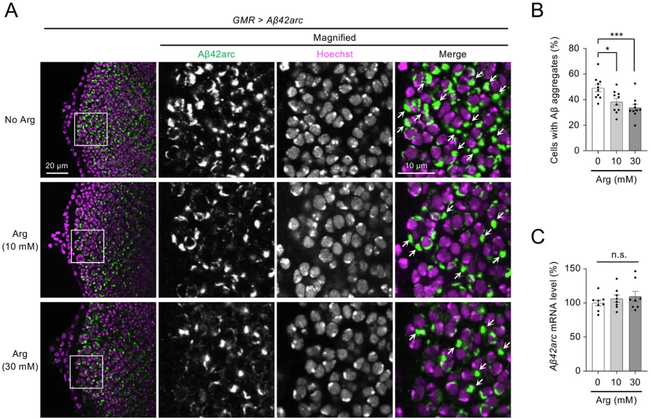 drosophila-model-experiments.jpg