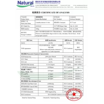 NF-COA สารสกัดจากชาเขียว (EGCG)
