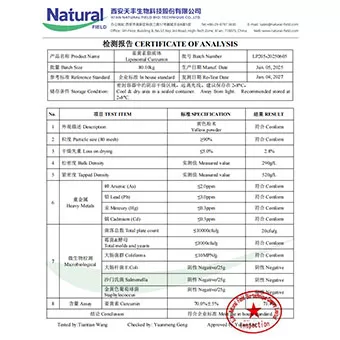 ไลโปโซมเคอร์คูมิน70%