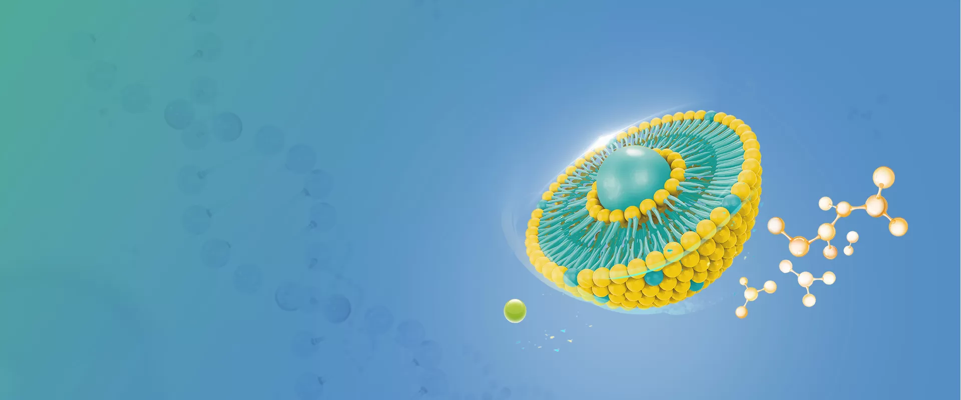 ส่วนผสมไลโปโซม