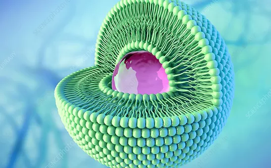 เทคโนโลยีลิโพโซม (Liposomal) อธิบาย: จากความท้าทายด้านชีวปริมาณออกฤทธิ์ (Bioavailability) สู่การผลิตผงลิโพโซมในระดับอุตสาหกรรม
