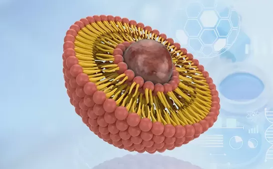 ฮอตสปอต liposome 2025ขี่คลื่นพันล้านดอลลาร์ในการต่อต้านริ้วรอย NAD, ความงามการเจาะผิวและสุขภาพสัตว์เลี้ยง