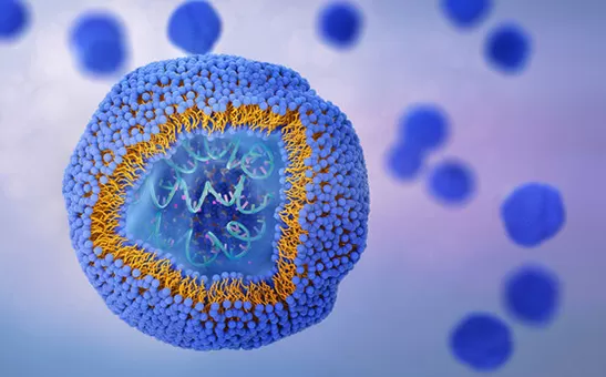 ผู้ผลิต liposomal 10อันดับแรกในสหราชอาณาจักร