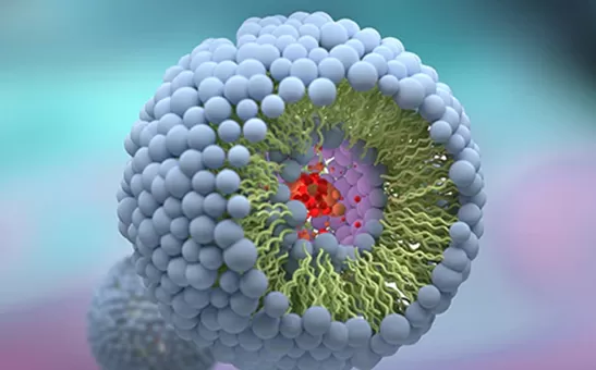 ผู้ผลิต liposomal 10อันดับแรกในประเทศสหรัฐอเมริกา