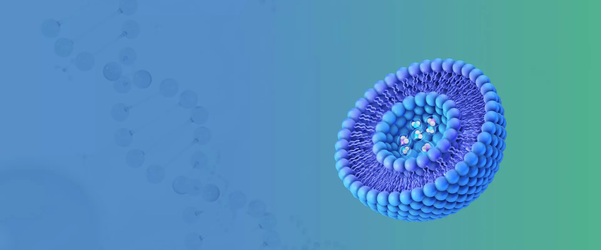 ข่าวไลโปโซม