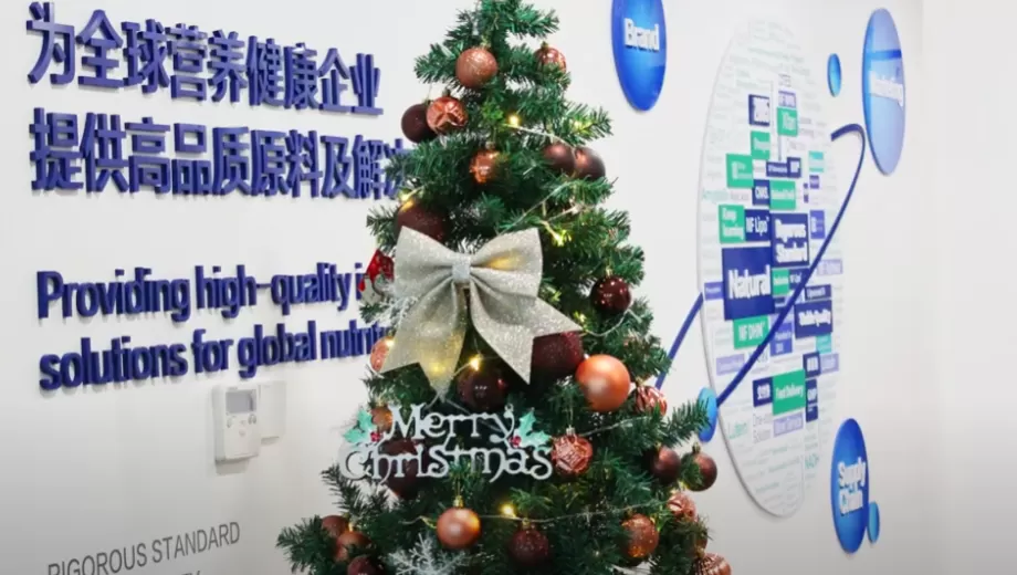 สุขสันต์วันคริสต์มาส