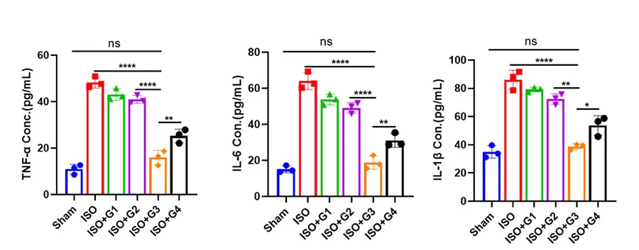 Nflipo®นวัตกรรม: ร่วมโหลด CoQ10 liposomes เสริมสร้างการป้องกันหัวใจและหลอดเลือดใหม่