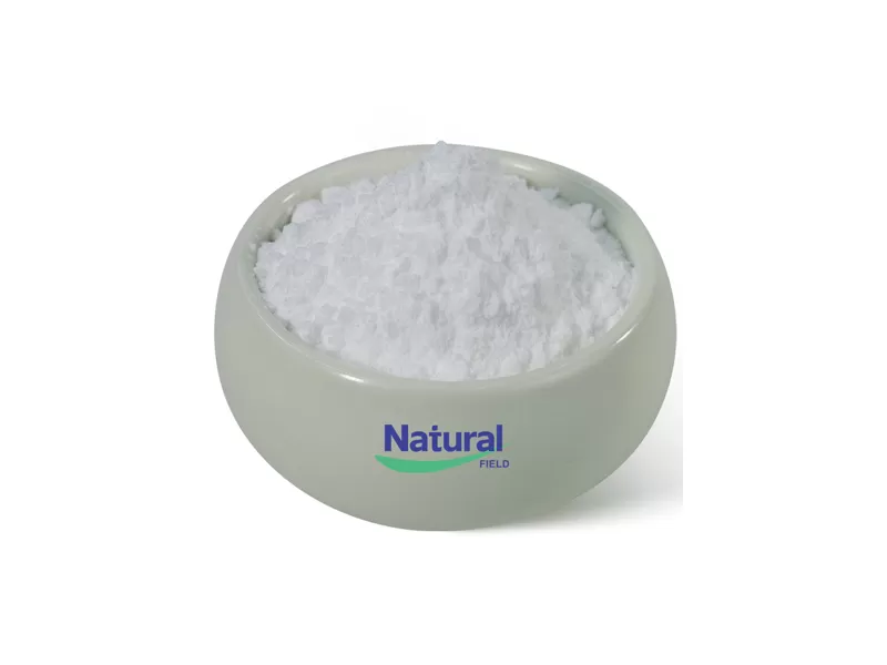 พลังของ L-glutamine Powder: กุญแจสู่สุขภาพ