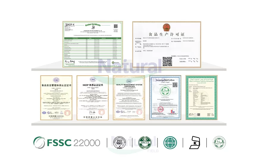 ทำไมต้องเลือกฟิลด์ธรรมชาติเป็นโรงงานผงร้านจีนของคุณ?