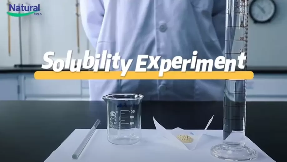 การทดลองความสามารถในการละลายน้ำของผงสารสกัดจาก NF ashwa ashwagandha