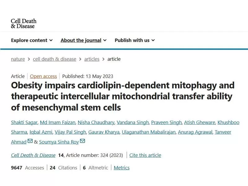 การต่อสู้กับริ้วรอย: PQQ ฟื้นฟูความอ่อนเยาว์ของเซลล์ได้อย่างไร