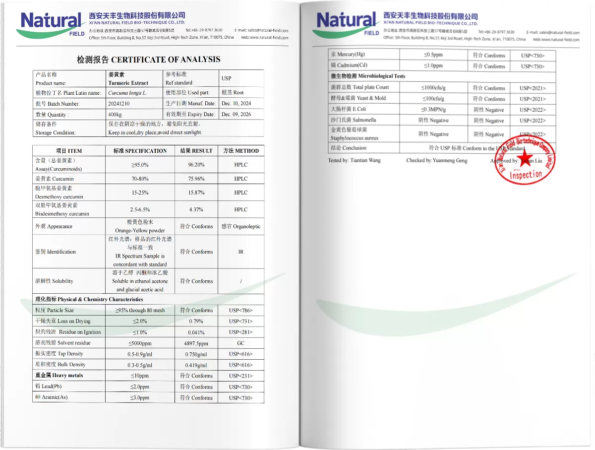 สารสกัดจากขมิ้น curcumin PDF