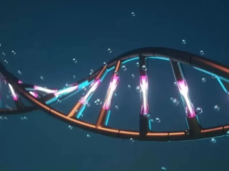 สิ่งที่เป็น NAD ที่นักวิทยาศาสตร์ได้ศึกษาเป็นเวลา100ปี?